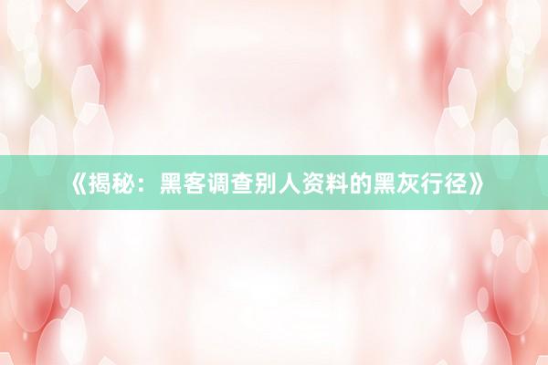 《揭秘：黑客调查别人资料的黑灰行径》